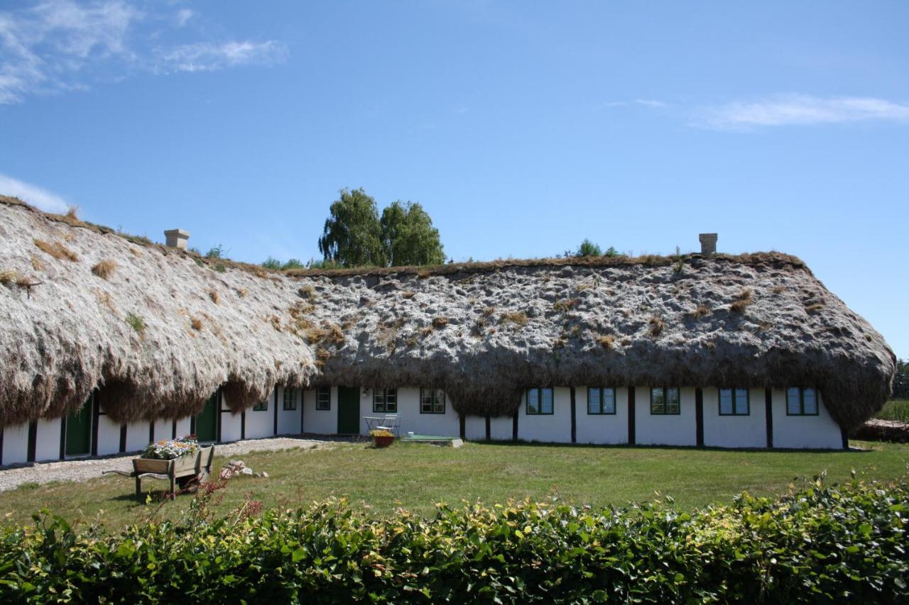 Bed and Breakfast Tanggarden Skoven Laeso Exterior foto