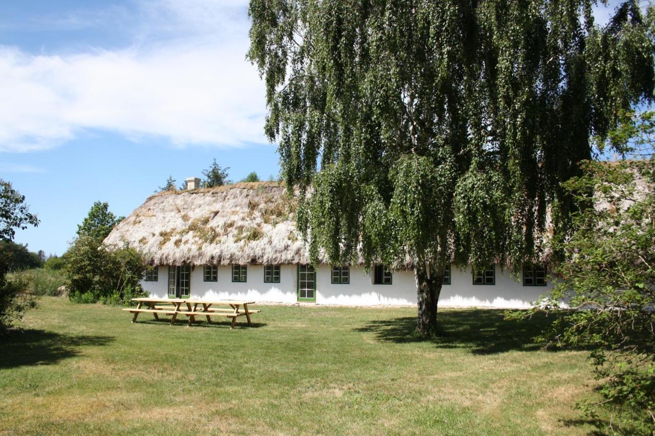 Bed and Breakfast Tanggarden Skoven Laeso Exterior foto